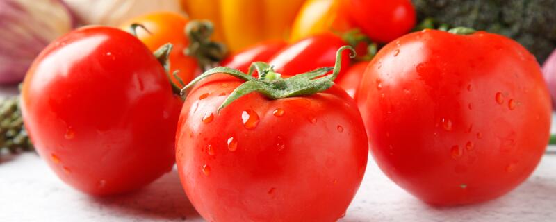 粉番茄和红番茄的区别