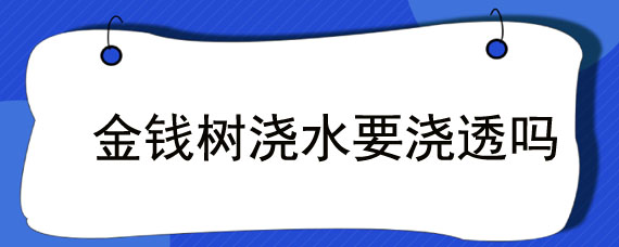 金钱树浇水要浇透吗