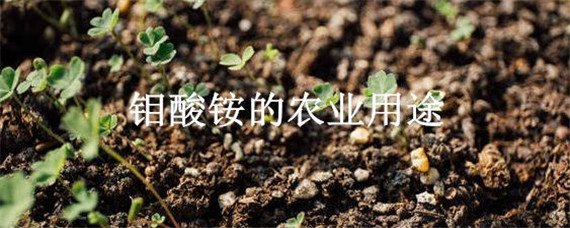 钼酸铵的农业用途