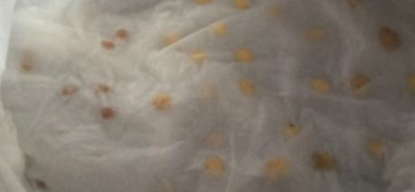 纸巾催芽方法需要扎孔么