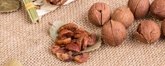 山核桃种子催芽方法