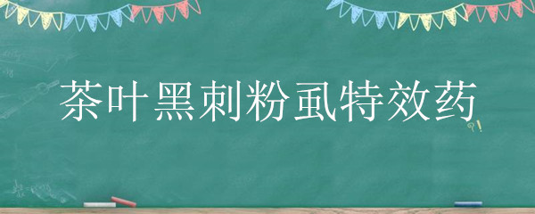 茶叶黑刺粉虱特效药