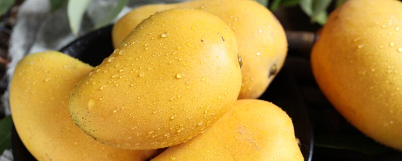 芒果套袋前打什么药