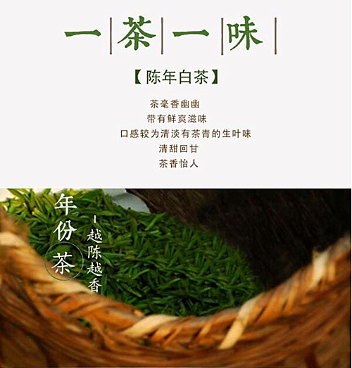老白茶是什么茶做的