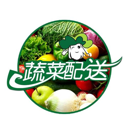 蔬菜配送融资怎么做
