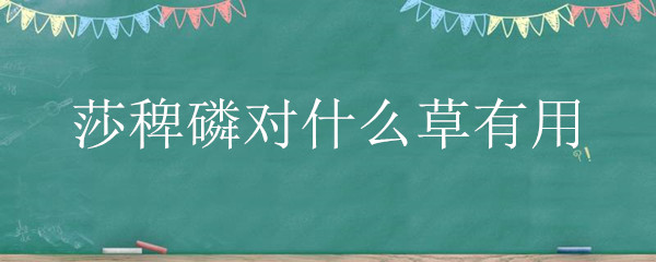 莎稗磷对什么草有用