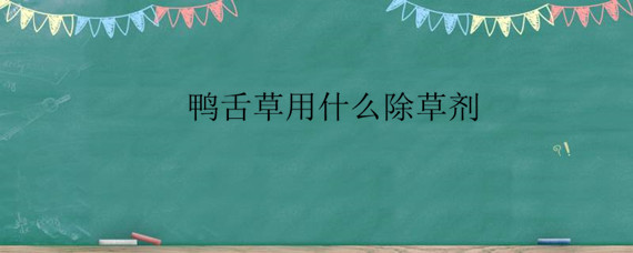 鸭舌草用什么除草剂