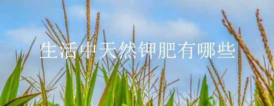 生活中天然钾肥有哪些