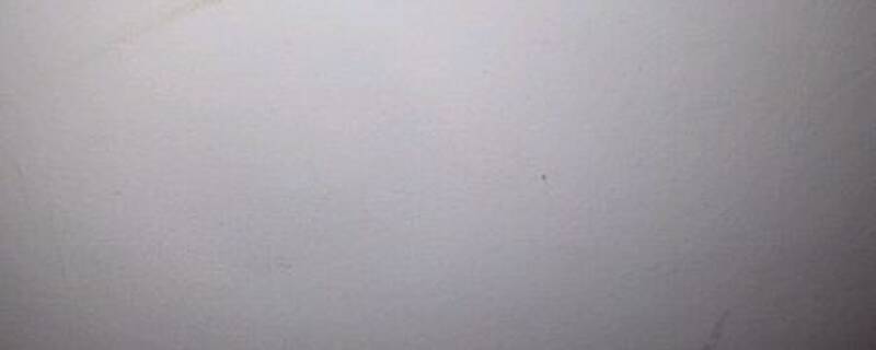 褥虫怕什么植物