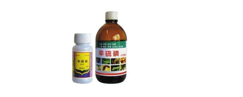 辛硫磷怎么灌根