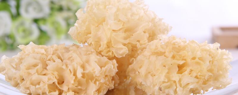 糯银耳与银耳的区别