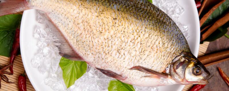 钓鳊鱼用什么饵