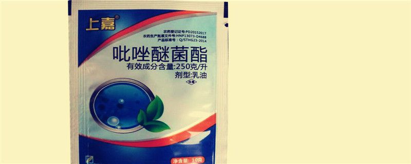 醚菌酯可防治什么病