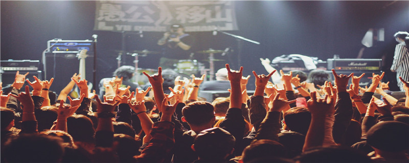 人是什么科的动物