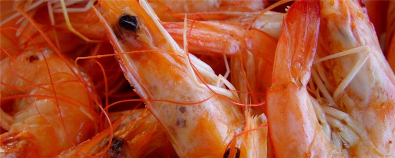 甜虾产自哪里