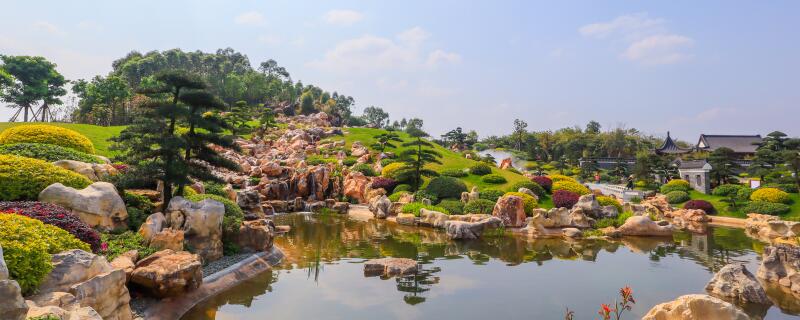 罗汉松怎么施肥