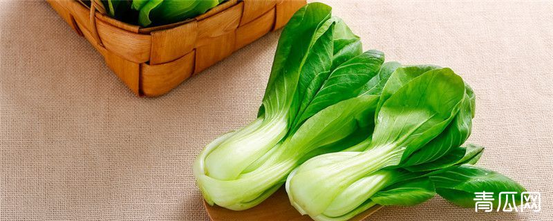 种植油菜的注意事项