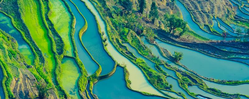 地形对农业的影响