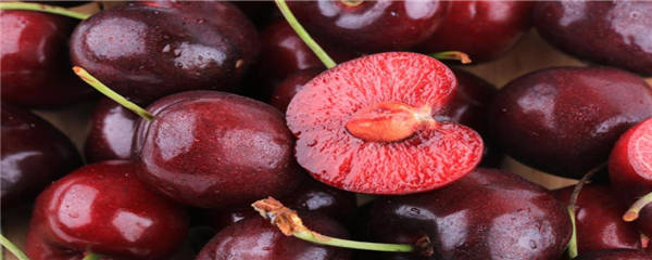 种植车厘子需要什么条件