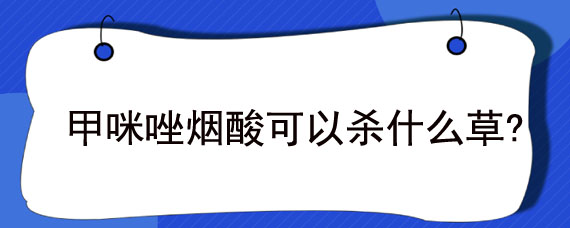 甲咪唑烟酸可以杀什么草?