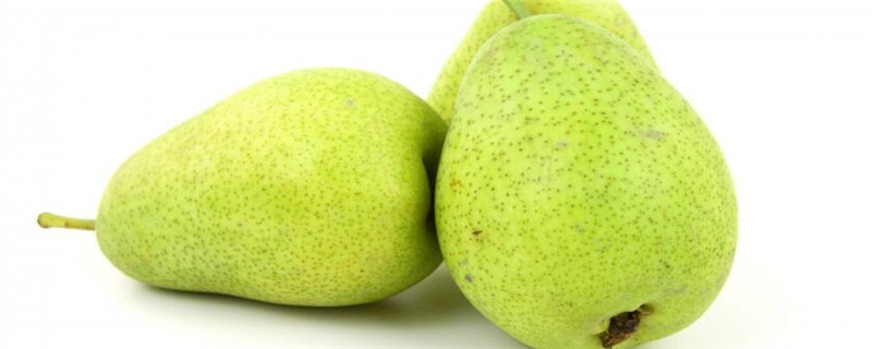 新疆香梨什么时候成熟