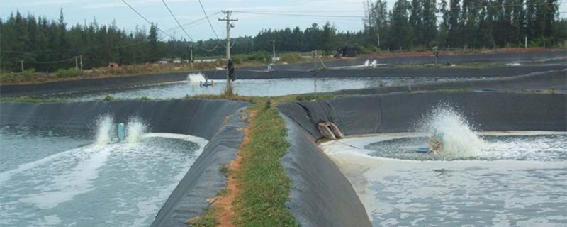 鱼塘消毒杀菌用什么药