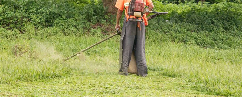 除草剂原理