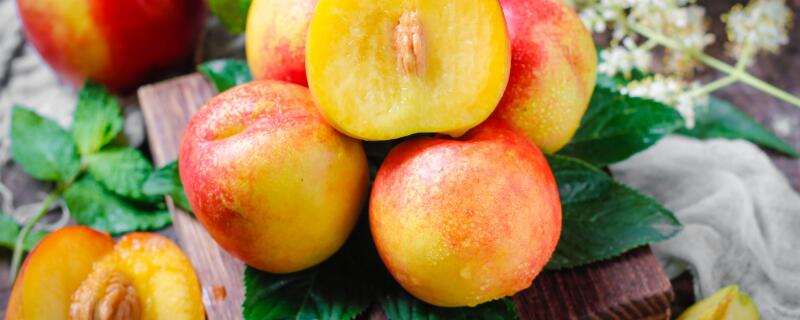 中油四号油桃品种介绍