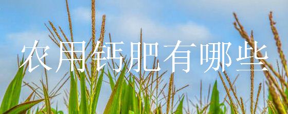 农用钙肥有哪些