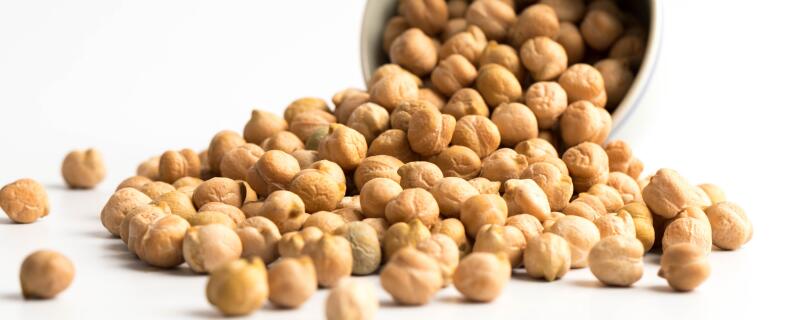 鹰嘴豆种植注意事项