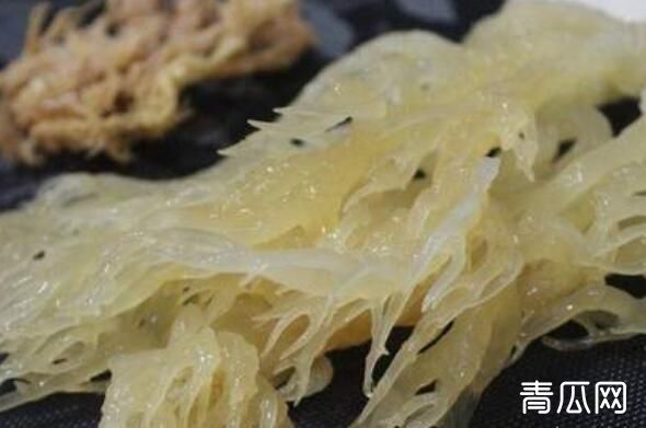 海燕窝的功效与作用 吃海燕窝的好处