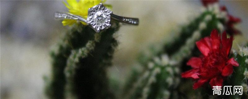 招财手种植注意事项