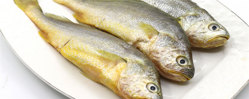黄鱼与黄花鱼的区别