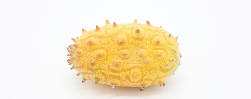 火参果种植气候条件