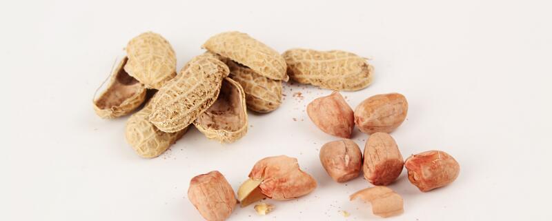 怎样快速腐熟花生壳