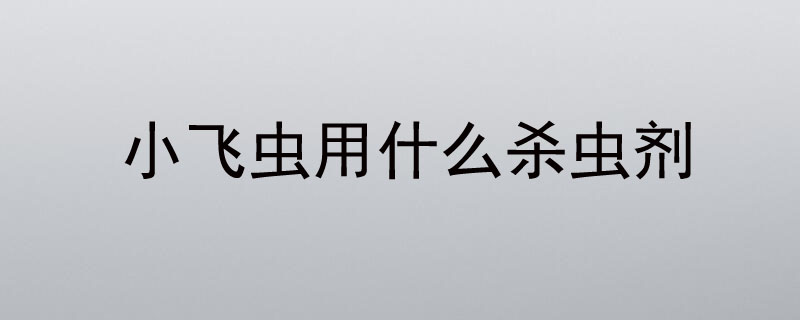 小飞虫用什么杀虫剂