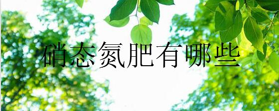 硝态氮肥有哪些