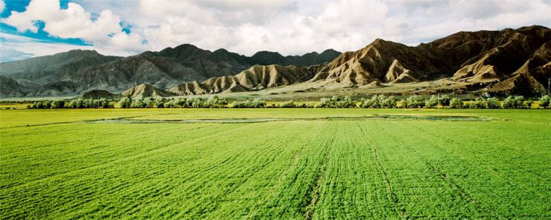 台湾农业主要分布于