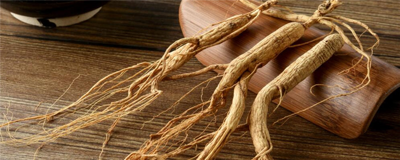 人参苗怎么种植