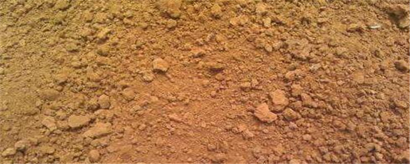 香油渣怎么施肥