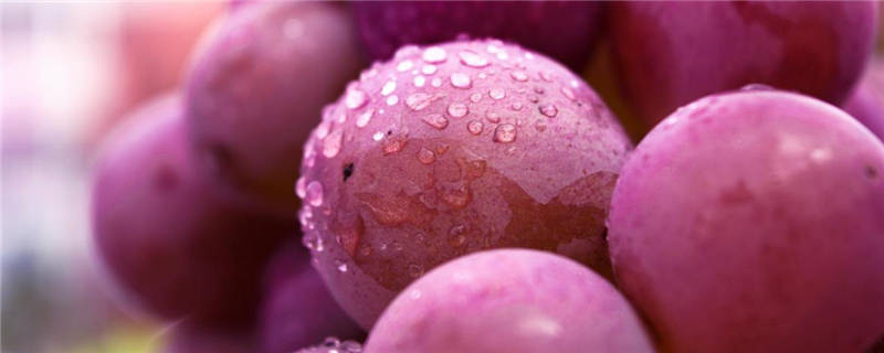 巨峰葡萄什么时候保果