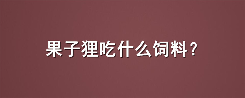 果子狸吃什么饲料
