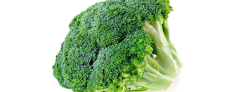 西兰花种植注意事项