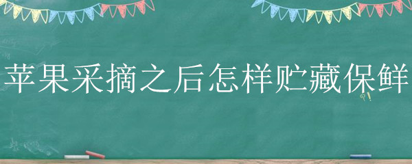 苹果采摘之后怎样贮藏保鲜
