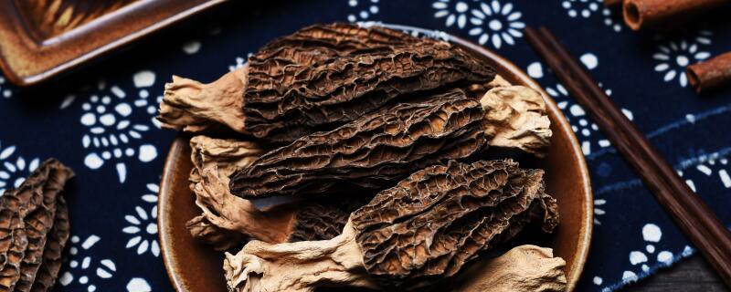 羊肚菌几月份种植