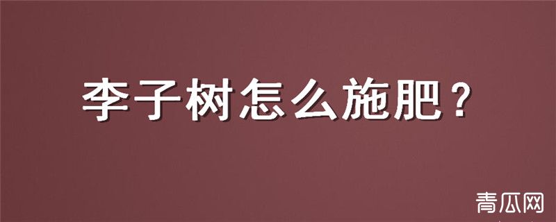 李子树怎么施肥