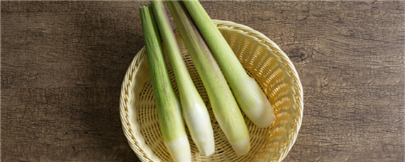 种植茭白对环境有什么要求