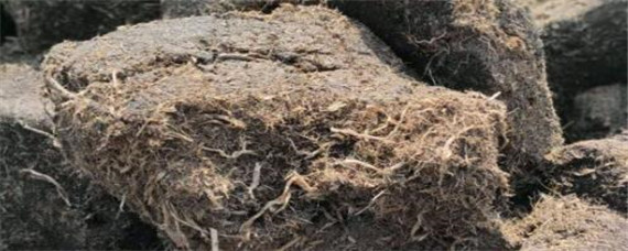 花肥有哪些种类和作用