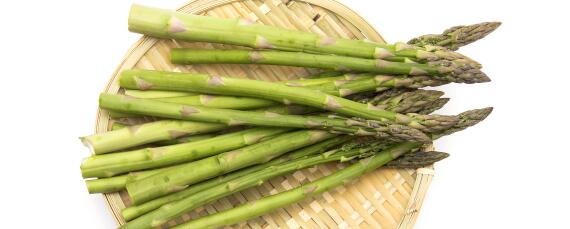 用根苗种植芦笋的方法