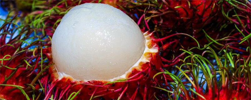 红毛丹产自哪里